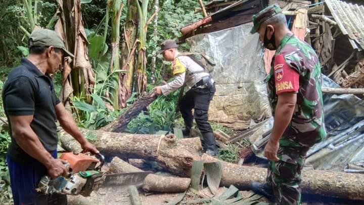 Gerak Cepat, TNI- Polri Bantu Rumah Warga Tertimpa Pohon