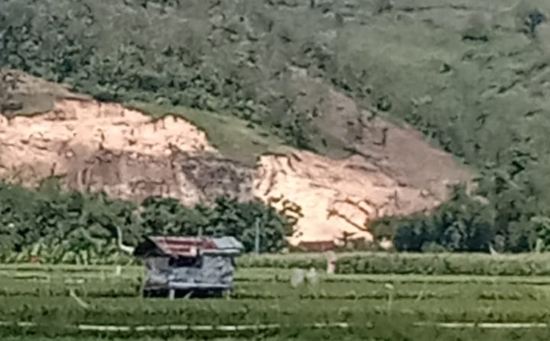 Miris !!!! Hutan Lindung Diduga Dijadikan Galian C