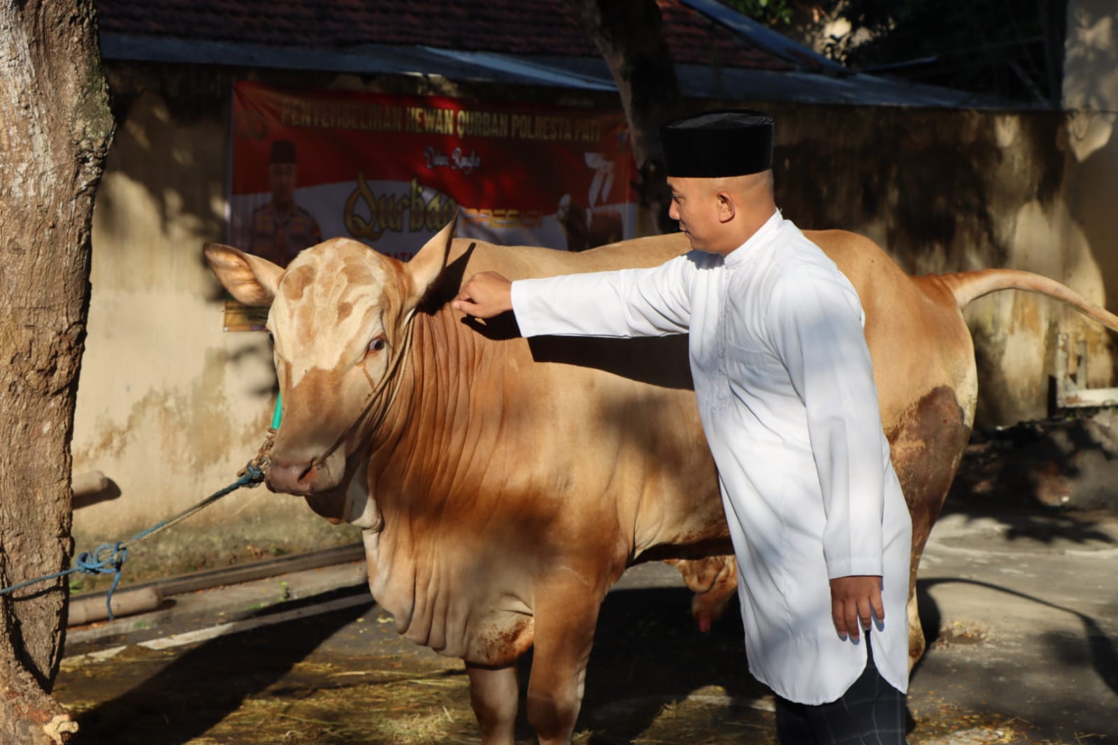 Bertajuk “Qurban Polri Presisi” !!! Kapolreta Pati Bagikan Daging ke Dhuafa
