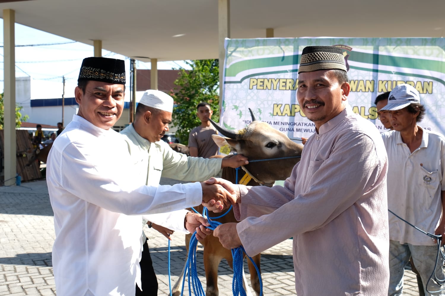 Hari Idul Adha 1444 H !!! Kapolda Kalsel Qurbankan 233 Hewan