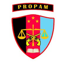 Kanal Pengaduan, Divisi Propam : Respon Positif dan Harapan Masyarakat