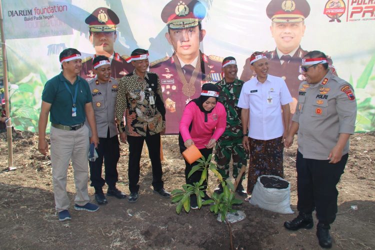 Puluhan Petugas Gabungan Tanam Pohon