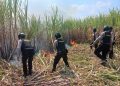 Polisi Padamkan Api di Lahan Tebu