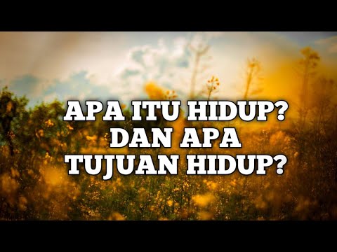 Ide – Ide Muncul, Kopi Segelas Teman Setia “Arti Kehidupan”