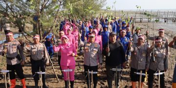 Lestarikan Ekosistem, Kapolresta Pati Tanam 1000 Pohon Mangrove dan Cemara Laut