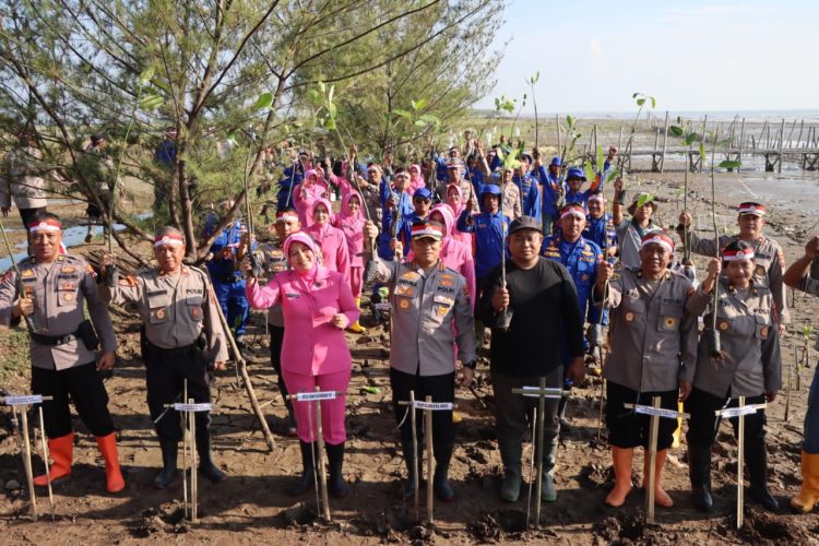 Lestarikan Ekosistem, Kapolresta Pati Tanam 1000 Pohon Mangrove dan Cemara Laut