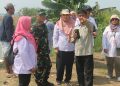 TNI Kawal Pompanisasi dan Irigasi di Pati
