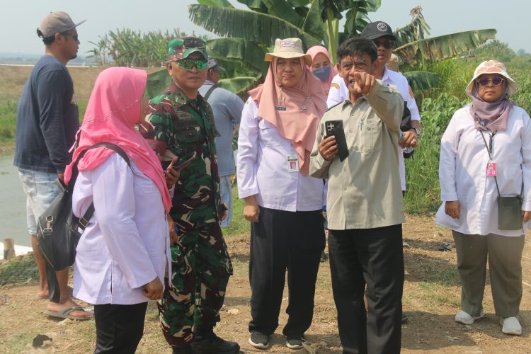 TNI Kawal Pompanisasi dan Irigasi di Pati