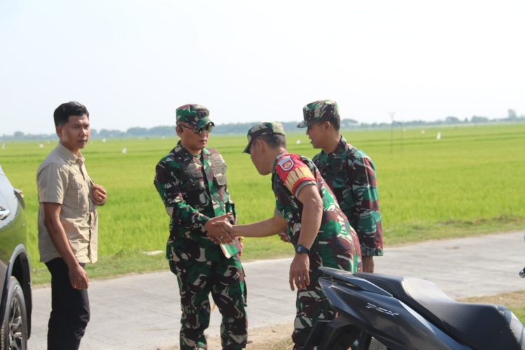 Proyek TMMD di Karangrowo, Dandim Pati Pastikan Pekerjaan Sesuai Rencana
