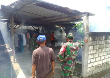 Babinsa Gelar Fogging Cegah Demam Berdarah di Desa Bringin