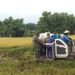 Gunakan Mesin Modern, Petani Kletek Raih Hasil Panen 2 Ton Padi