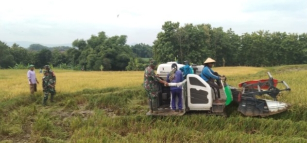 Gunakan Mesin Modern, Petani Kletek Raih Hasil Panen 2 Ton Padi