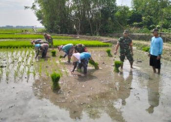 Dandim 0718/Pati Dorong Sinergitas Terkait Ketahanan Pangan