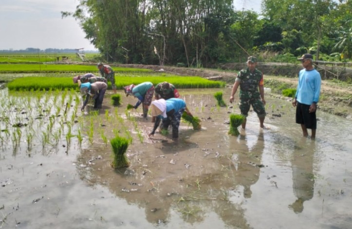 Dandim 0718/Pati Dorong Sinergitas Terkait Ketahanan Pangan