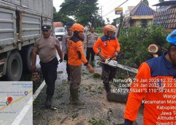 Pohon Tumbang, Polsek Margorejo Evakuasi di Lapangan