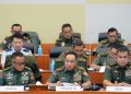 Panglima TNI Ajak Masyarakat Untuk Persatuan dan Stabilitas Nasional