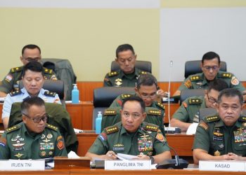 Panglima TNI Ajak Masyarakat Untuk Persatuan dan Stabilitas Nasional