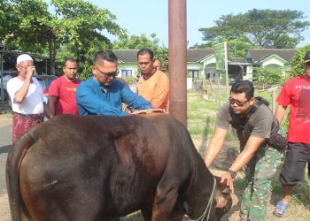 Semangat Berkurban Kodim 0718/Pati, TNI Hadir