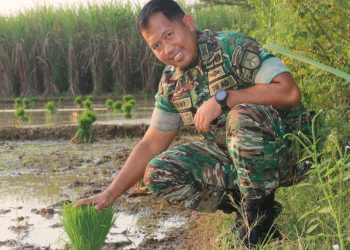 Kodim 0718/Pati Dorong Pertanian Organik Lewat Mikroba Hayati