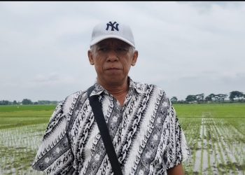 Kritik Publik Berbuah Perbaikan, Proyek Talud Kini Tuai Apresiasi Warga