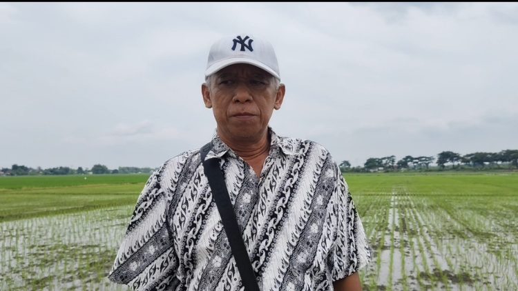 Kritik Publik Berbuah Perbaikan, Proyek Talud Kini Tuai Apresiasi Warga