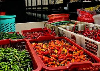 Harga Pangan di Pati Naik Tipis, Pemerintah Klaim Masih Terkendali