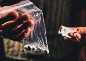 Propam Dalami Dugaan Keterlibatan Anggota Polres Toraja Utara dalam Jaringan Narkoba