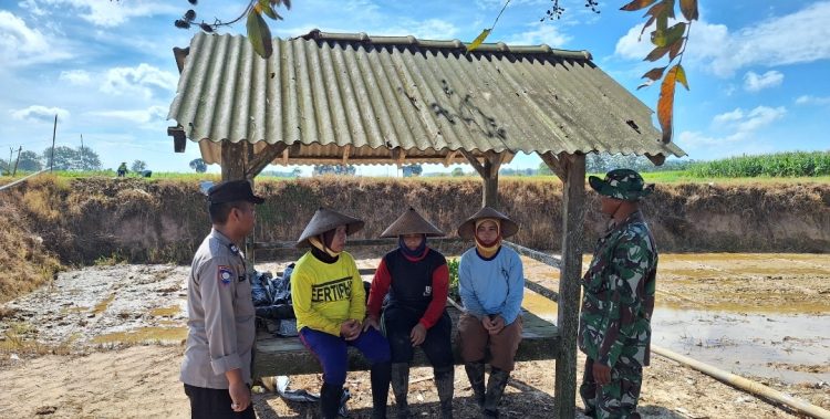 Ajang Edukasi Sosial, Warga Merasakan Kehadiran Program TMMD