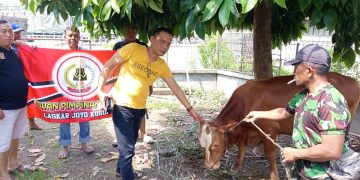 LSM Laskar Joyo Kusumo Perkuat Solidaritas Lewat Qurban