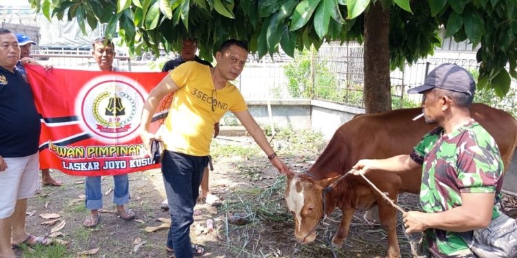 LSM Laskar Joyo Kusumo Perkuat Solidaritas Lewat Qurban
